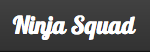Logo Ninja Squad