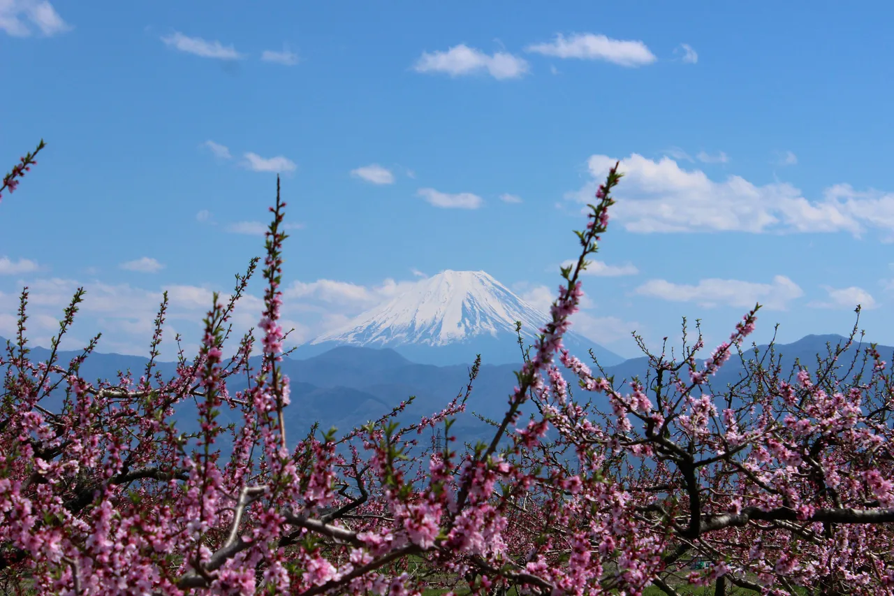 Expatriation au Japon avec un PVT - Portrait de Joseph